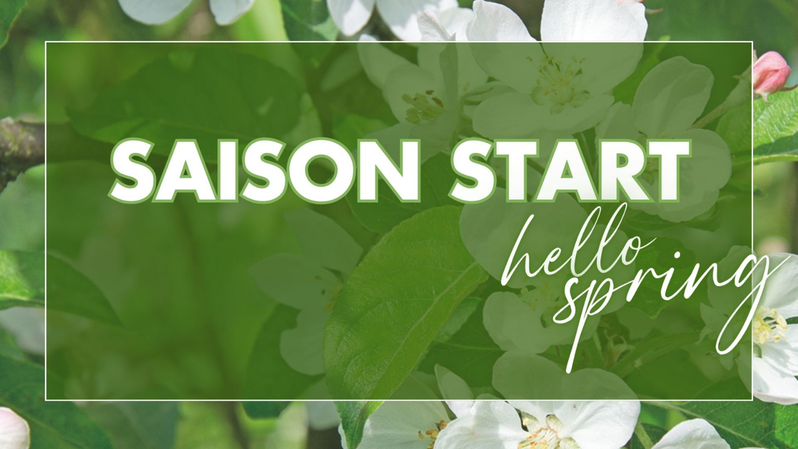 MODEKELLER_Startseite Header_FS25_1